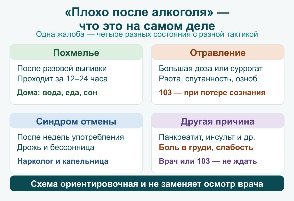 Схема: «плохо после алкоголя» — четыре разных состояния с разной тактикой. Похмелье — после разовой выпивки, проходит за 12–24 часа, дома вода/еда/сон. Отравление — большая доза или суррогат, рвота и спутанность, 103 при потере сознания. Синдром отмены — после недель употребления, дрожь и тревога, нужен врач. Другая причина — панкреатит, инсульт и другое, врач или 103, не списывать на выпивку